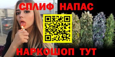 каннабис Малгобек