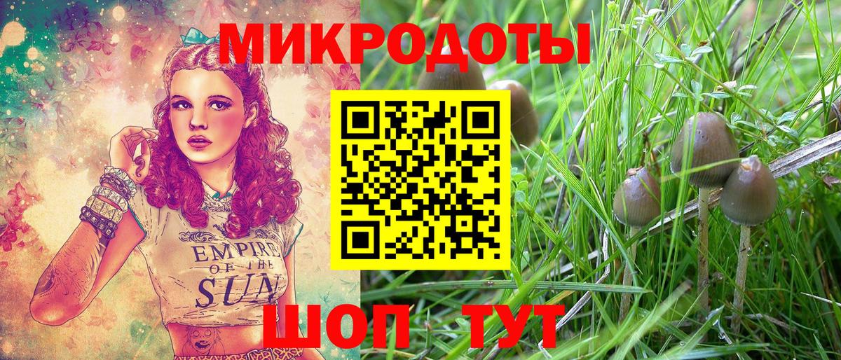 где купить наркоту  Галлюциногенные грибы Magic Shrooms  Вход с VPN  Ивантеевка 